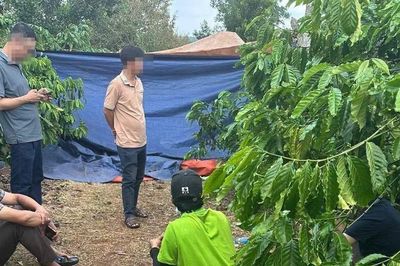 Vợ tử vong trong rẫy cà phê, chồng mất liên lạc sau khi nói 'có việc chưa về'