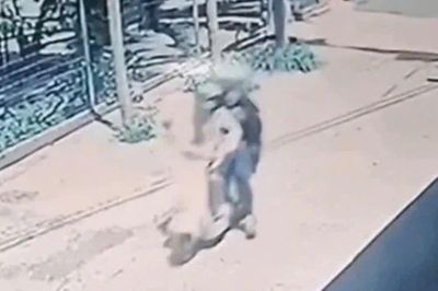 Tạm giữ nghi phạm sát hại bé gái 12 tuổi rồi ném thi thể xuống giếng sâu