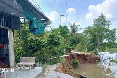 Đồng Tháp: Sạt lở hơn 20m đường ven sông Trà Lọt, giao thông bị chia cắt