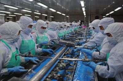 Tôm Cà Mau mang về 1 tỷ USD sau nửa đầu năm 2026