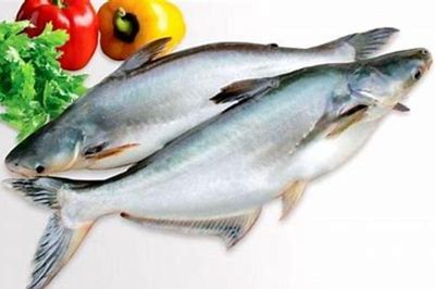 Những loại cá dễ bị nhầm với nhau, nhất là loại số 1