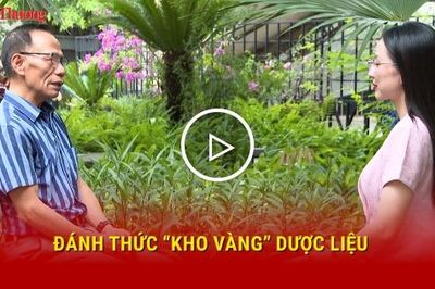 Đánh thức 'kho vàng' dược liệu