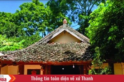 Phê duyệt dự án khai quật khảo cổ tổng thể đền thờ Nguyễn Văn Nghi