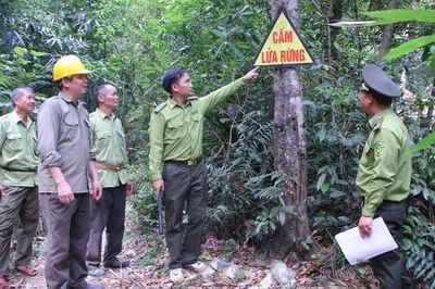Nhiều khu vực miền núi Bắc Ninh trong vùng cảnh báo cháy rừng cấp cực kỳ nguy hiểm