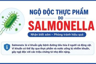 Ngộ độc thực phẩm do vi khuẩn Salmonella, nhận biết sớm và phòng tránh hiệu quả