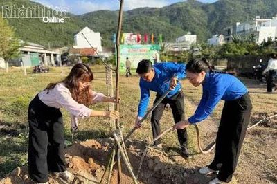 Rà soát, đăng ký nhu cầu hỗ trợ trồng cây xanh
