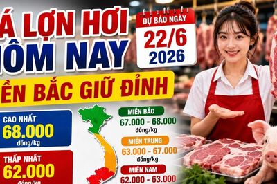 Giá lợn hơi hôm nay 22/6: Giá đi ngang, miền Bắc neo cao