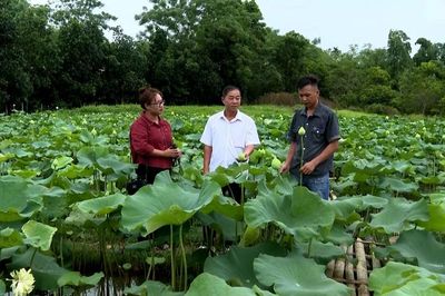 Khoa học bén rễ từ đồng đất quê hương