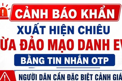 Cảnh báo khẩn: Xuất hiện chiêu lừa đảo mạo danh EVN bằng tin nhắn OTP, người dân cần đặc biệt cảnh giác