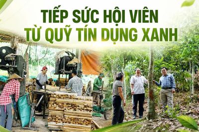 Tiếp sức hội viên từ quỹ tín dụng xanh