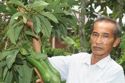 Nỗi buồn kép của bơ 034