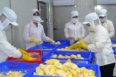 Nâng tầm sản phẩm nông, lâm, thủy sản từ chế biến