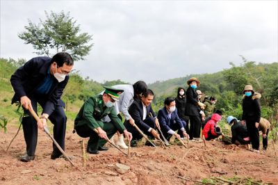 Nối dài những đường hoa
