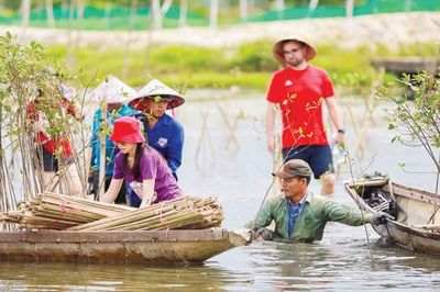 Phục hồi hệ sinh thái, bảo vệ nguồn lợi thủy sản