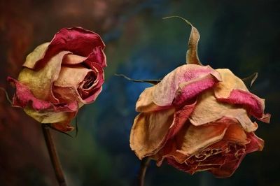 Hiểu đúng về tạo nghiệp sát