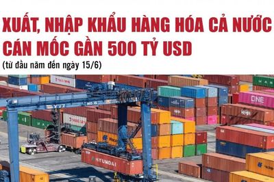 Infographics: Tổng kim ngạch xuất, nhập khẩu hàng hóa cả nước đạt 496,6 tỷ USD