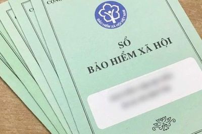 Sonadezi chậm đóng BHXH hơn 875 triệu đồng