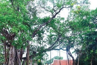 Gìn giữ ký ức làng quê: Hà Nội xếp hạng thêm 12 di tích lịch sử - văn hóa