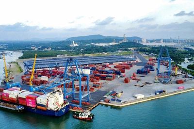 TP. Hồ Chí Minh: Thành lập Ban Chỉ đạo triển khai thực hiện khu thương mại tự do thành phố