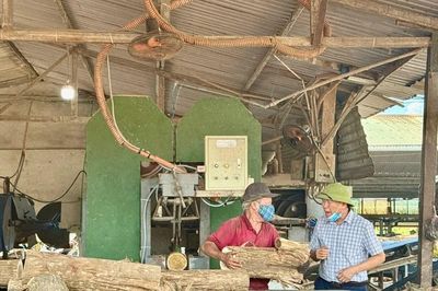 Người nông dân dựng 'đế chế xanh' trên đất Ái Tử