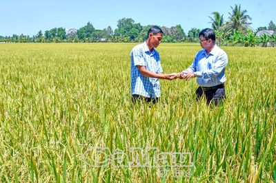 Sức mạnh lòng dân