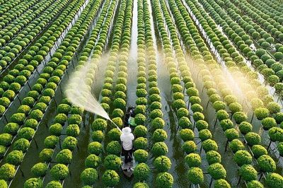 Khi ngòi bút trở thành hạt mầm cho nông nghiệp tương lai
