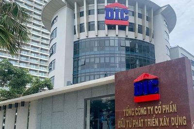 Ủy ban Chứng khoán xử phạt DIC Group, buộc thu hồi chứng khoán đã bán