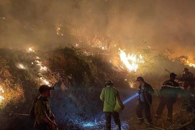 Cháy rừng ở Nghệ An đã được khống chế