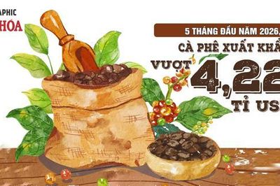 Xuất khẩu cà phê 5 tháng đầu năm 2026 vượt 4,22 tỉ USD, Đức dẫn đầu thị trường