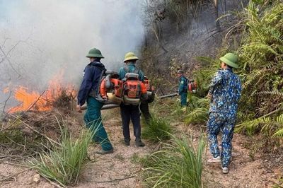 Căng mình dập lửa xuyên hai ngày đêm, cơ bản khống chế vụ cháy rừng ở Nghệ An
