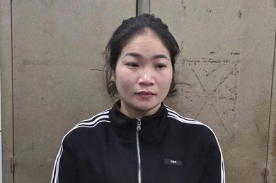 Nữ quái lừa đảo làm thủ tục đất đai, chiếm đoạt nhiều tỷ đồng