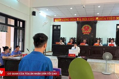 Lừa 'chạy' thủ tục đất đai, chiếm đoạt hơn 660 triệu đồng