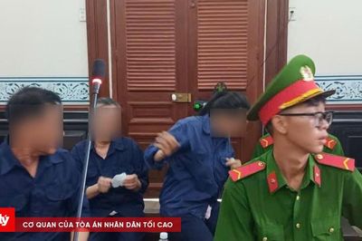 Làm giả giấy tờ, lừa đảo chiếm đoạt hơn 14,6 tỷ đồng