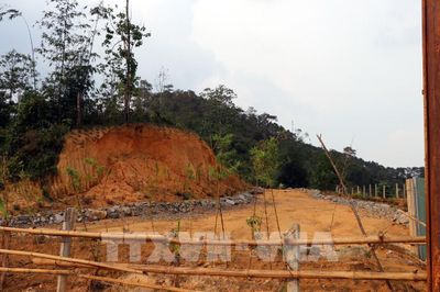 Tây Ninh: Thu hồi gần 72.400 m2 đất dự án Nhà máy sản xuất gạo GABA