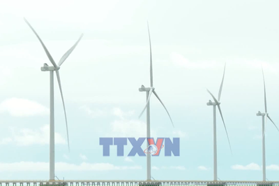 Net zero - Doanh nghiệp Việt trong làn sóng đầu tư năng lượng tái tạo