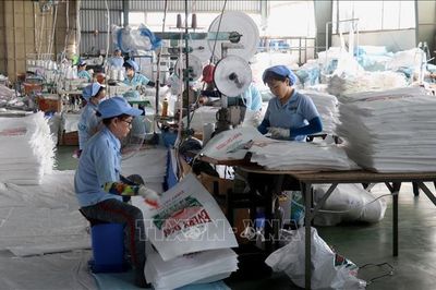Đức thông qua Luật Bao bì sửa đổi và lưu ý cho doanh nghiệp Việt