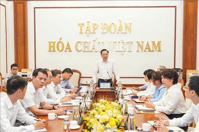 Vinachem có nhiều lợi thế tham gia chuỗi giá trị bán dẫn và đất hiếm