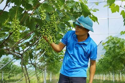 Những nông dân truyền cảm hứng (Bài 2): Người 'thắp lửa' trên đồng đất quê hương