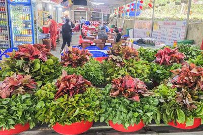 Mùa 'lộc trời' mang sinh kế cho người dân Thất Sơn