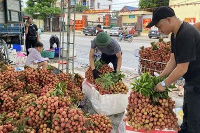 Giá bán vải thiều cao, Bắc Ninh thu gần 6.000 tỷ đồng