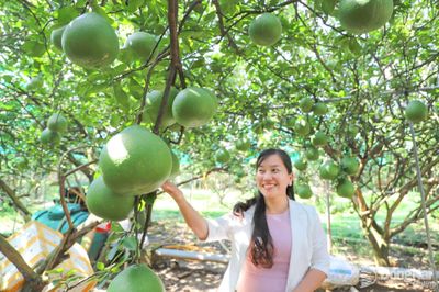 Rộng mở thị trường xuất khẩu trái cây tươi