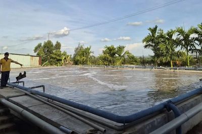 Khu công nghiệp Trà Ða giảm thiểu tác động đến môi trường