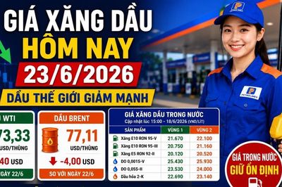 Giá xăng dầu hôm nay 23/6: Dầu thế giới giảm sâu, trong nước chờ điều chỉnh