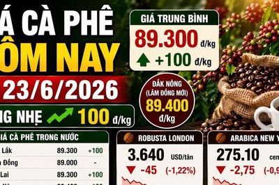 Giá cà phê hôm nay 23/6: Nhích nhẹ sau phiên giảm sâu
