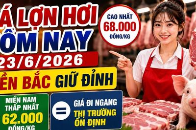 Giá lợn hơi hôm nay 23/6: Miền Nam thấp nhất, miền Bắc dẫn đầu