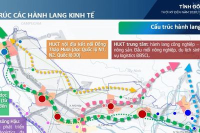 Hạ tầng Đồng Tháp: Khởi công 2 dự án giao thông trọng điểm hơn 1.400 tỷ đồng