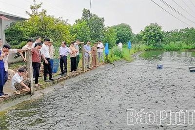 Phát triển sản xuất thủy sản bền vững