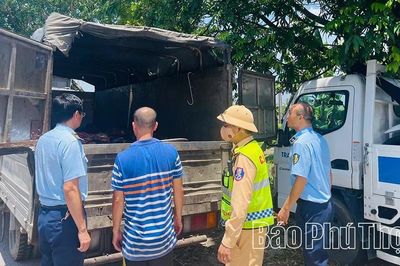 Quản lý thị trường Phú Thọ xử lý 528 vụ vi phạm, nộp ngân sách trên 3,1 tỷ đồng