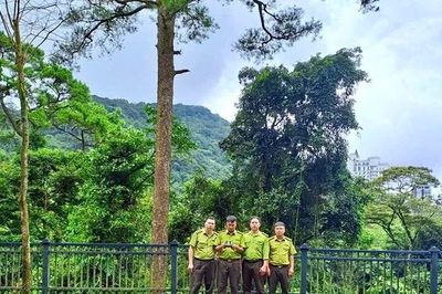 Hạt Kiểm lâm Tam Đảo - Tam Dương ứng dụng công nghệ trong quản lý, bảo vệ rừng