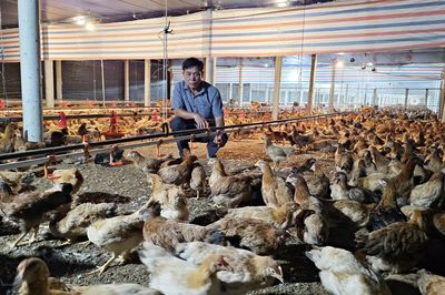 Giám đốc hợp tác xã dám nghĩ, dám làm